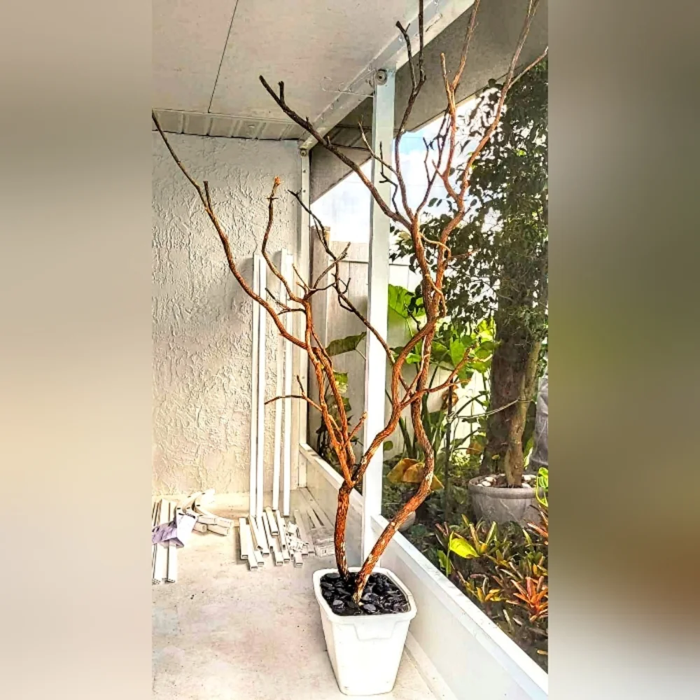 Custom exotic bird perch stands
